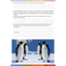 Overal dieren werkgids (5 stuks)