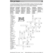 Woordenschat fase 7 (5 stuks)