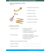 Kerndoeltrainer Meten & Meetkunde B (5 stuks)