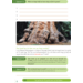 Max en de sprekende boom groep 3-5 werkboek (5 stuks)