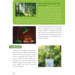 Max en de sprekende boom groep 3-5 werkboek (5 stuks)