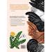 Het grote kippenboek - Jan Hamstra