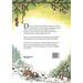Pettson en Findus - Pettson viert Kerstmis