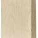 Plateau zandwatertafel 6101211 formaat 852x700 mm