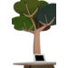 Rolf More - Tafelboom, D4