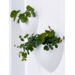 Botaniq 1,25L Wit