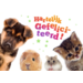 Miniposters 1049 dierenvrienden, 2 motieven, 20 stuks