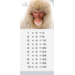 Tafelkaartjes Werelddieren 3022 12 motieven, 120 stuks