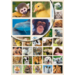 Beloningsstickers Baby Dieren 344, 40 motieven, 800 stuks