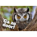 Beloningskaarten Motivatiedieren 4567, 6 motieven, 96 stuks