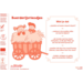 Beloningsstickers 456 Boerderijvrienden, 35 motieven, 700 stuks