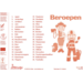 Beloningsstickers (serie 461) Beroepen, 36 motieven, 720 stuks