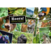 Miniposters 1071 Dieren in Kaders, 4 motieven, 20 stuks