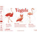 Beloningsstickers 149 Vogels 36 motieven, 720 stuks