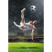 Beloningskaarten Voetbal 4251 4 motieven, 96 stuks