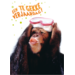 Miniposters Grappige Dieren 991 4 motieven, 20 stuks