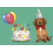 Miniposter 1086 Party animals 4 motieven, 20 stuks
