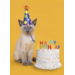 Miniposter 1086 Party animals 4 motieven, 20 stuks