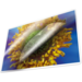 Plastificeer/lamineerhoes A4 100 micron, 100 stuks