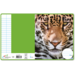 Schriften 6-3-6, dierenkoppen, 16,5 x 21 cm, 80 gr (25 stuks)