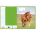 Schriften 6-4-6, paarden met jong, 16,5 x 21 cm, 80 gr (25 stuks)