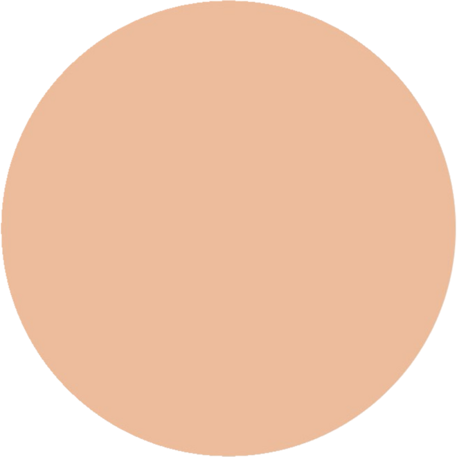 Plakkaatverf | de Rolf groep | topcolor, zalm roze 1000 ml