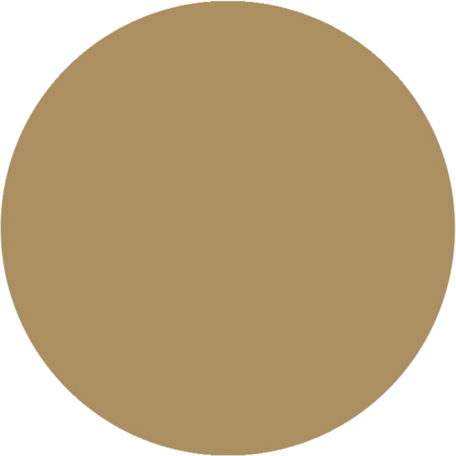 Plakkaatverf | de Rolf groep | topcolor, goud 1000 ml
