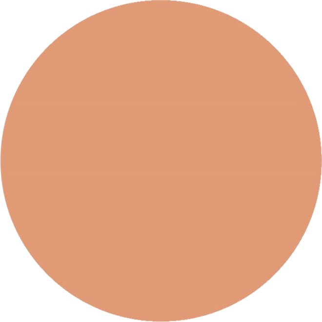 Plakkaatverf | de Rolf groep | topcolor, brons 1000 ml