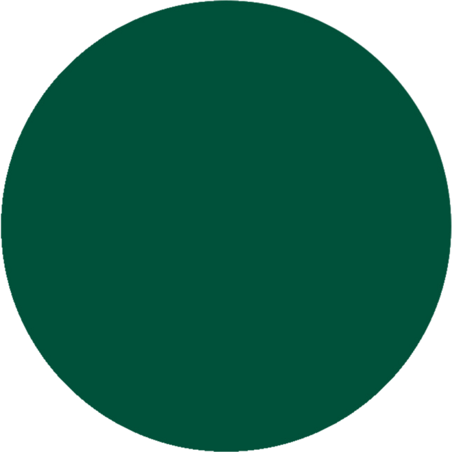 Plakkaatverf Creall Color+ 1000 ml donkergroen