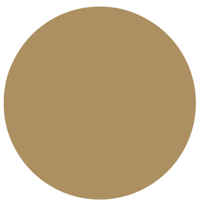 Plakkaatverf Creall Color+ 1000 ml goud