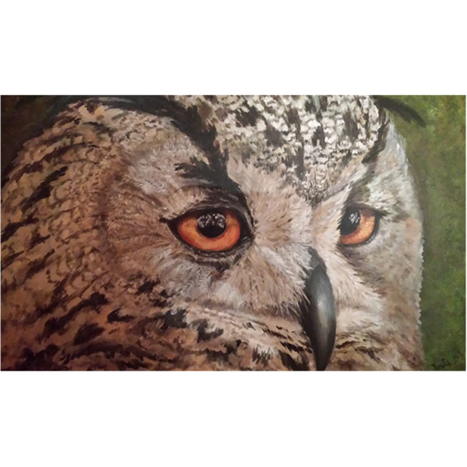 Acrylverf Creall assorti 5 x 120 ml