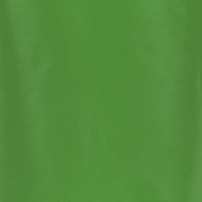 Schildersschort voor volwassenen groen
