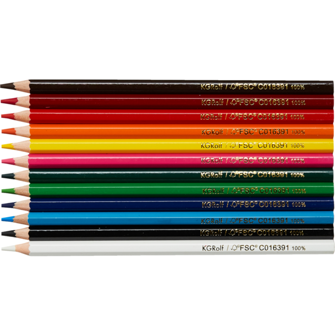 Kleurpotloden | de Rolf groep | 3,8 mm assorti, 12 stuks