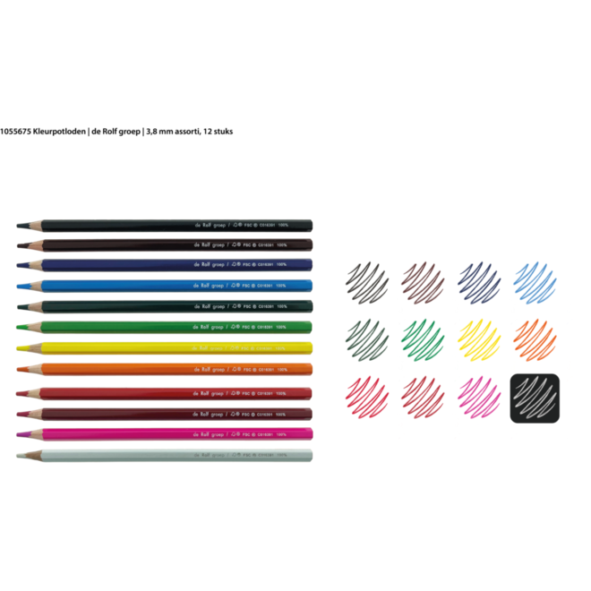 Kleurpotloden | de Rolf groep | 3,8 mm assorti, 12 stuks