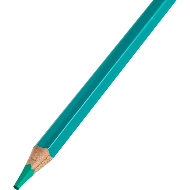Kleurpotloden | de Rolf groep | turquoise, 12 stuks