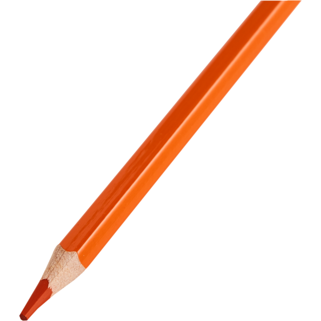 Kleurpotloden | de Rolf groep | oranje, 12 stuks
