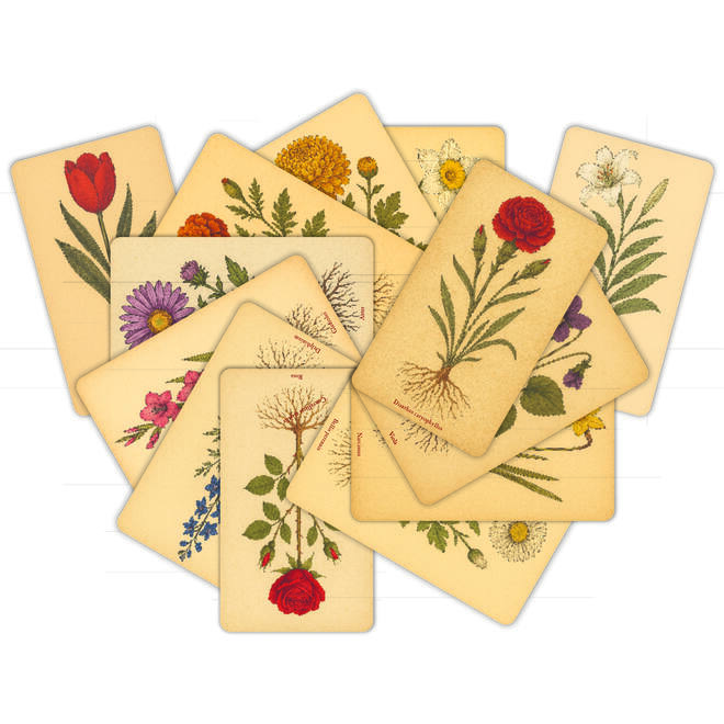Patroonplaten botanische bloemen 16 x 27 cm, 14 stuks