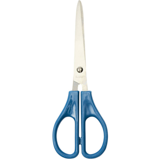 Schaar 15 cm budget met spitse punten