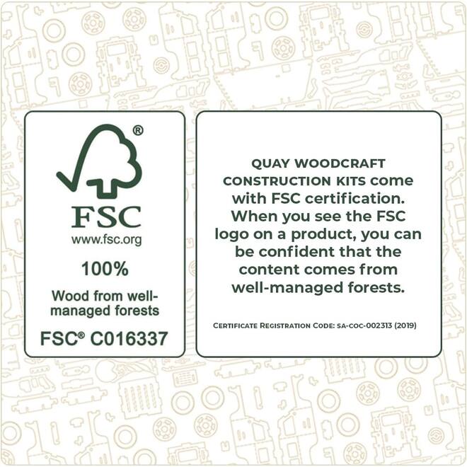 Bouwpakket hout FSC Pauw