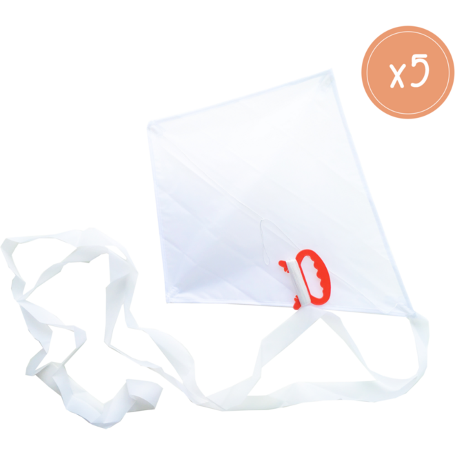 Vlieger wit nylon 40 x 50 cm, 5 stuks