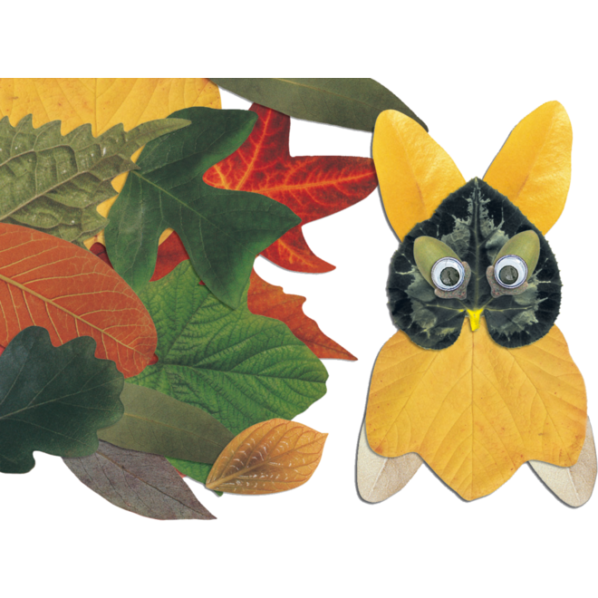 Stansfiguren herfst 38 motieven 4 x 14 cm, 266 stuks