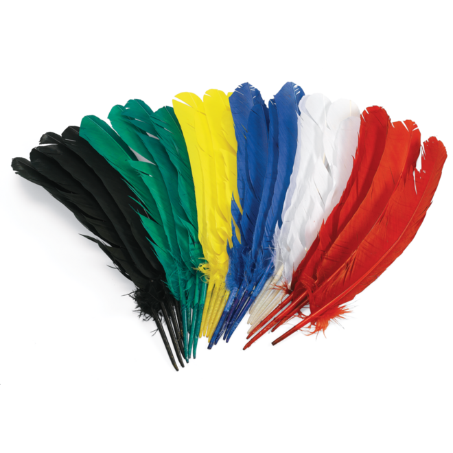 Ganzenveren 30 cm, 24 stuks