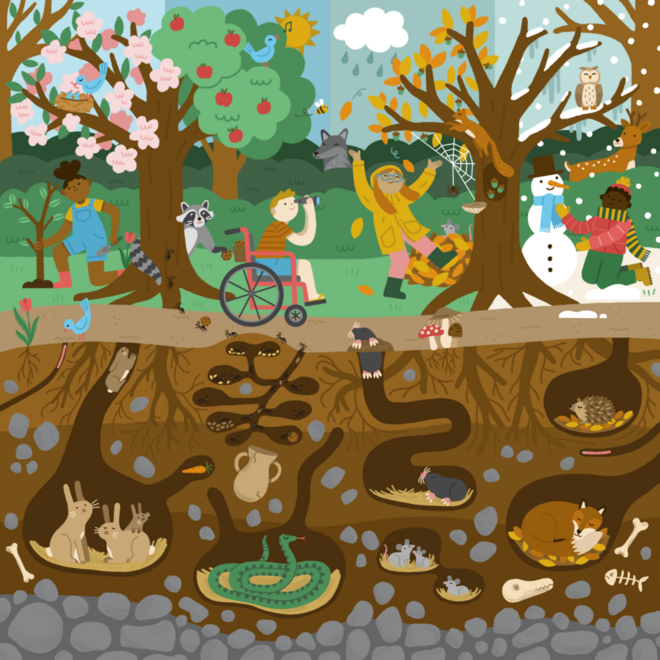 Rolf Puzzels - Puzzel boven en onder de grond - bos