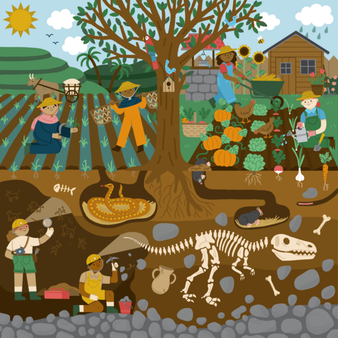 Rolf pakket - Natuur