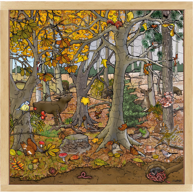 Rolf Puzzels - Puzzel bos herfst-winter, 64 stukjes