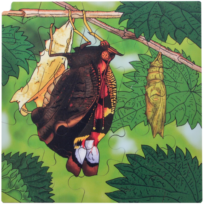 Rolf Connect - Groeipuzzel vlinder 28 x 28 cm 4-lagen 86 stukjes
