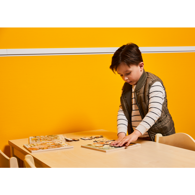 Rolf Puzzels - Puzzelserie wonen