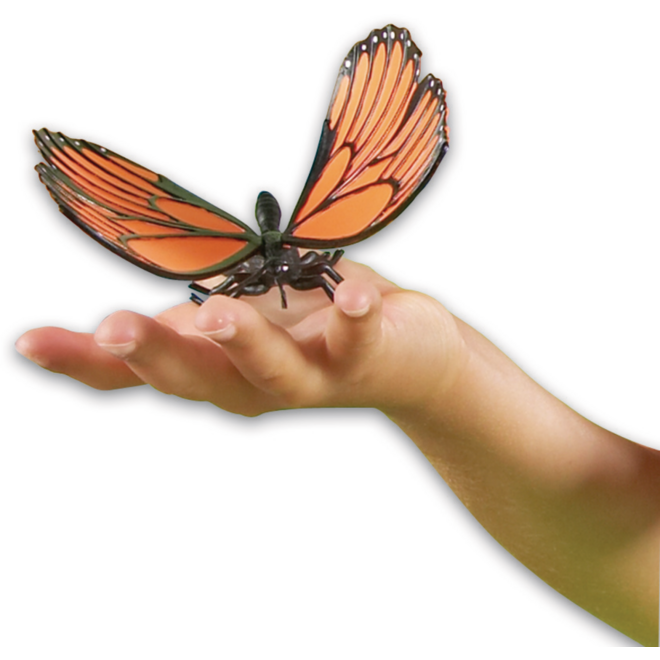 Jumbo insecten