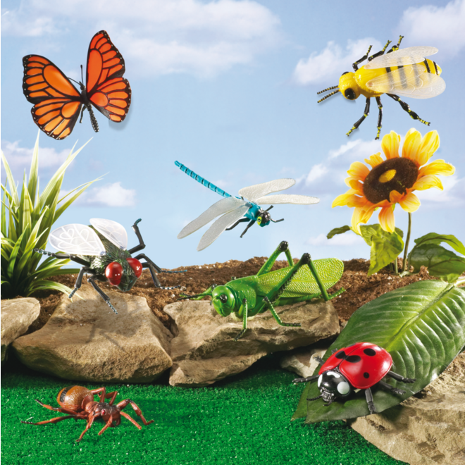 Jumbo insecten