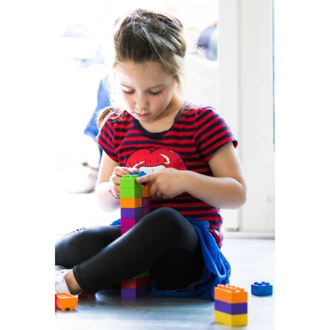 BiOBUDDi Education Big bouwblokken 500 stuks
